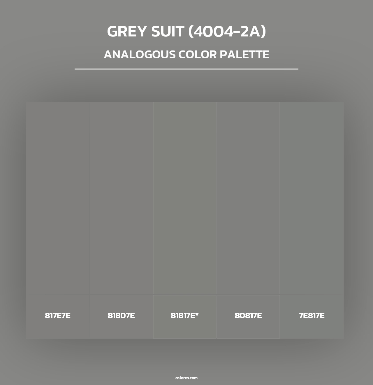 Grey Suit (4004-2A) - Analogous Color Palette