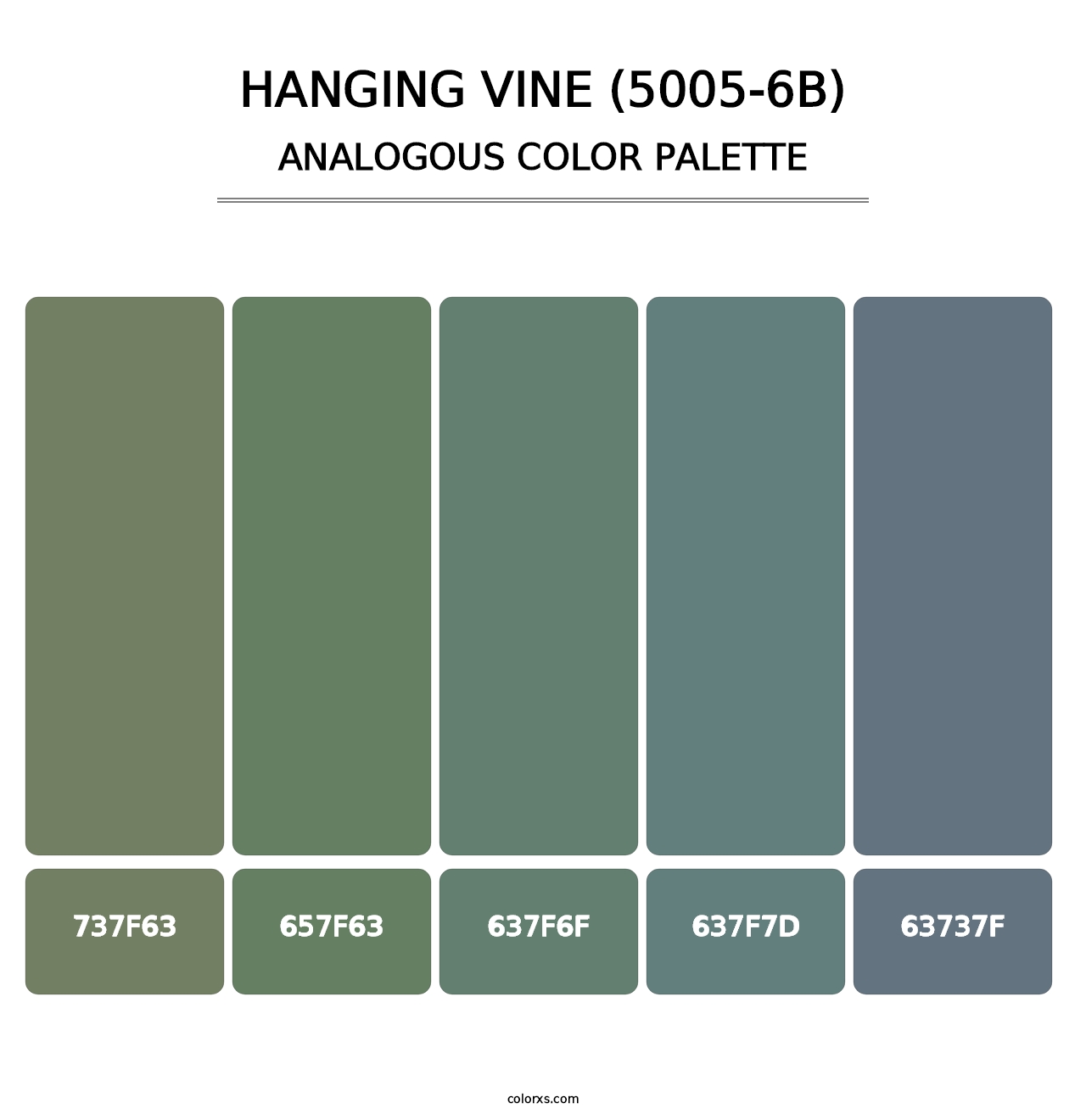 Hanging Vine (5005-6B) - Analogous Color Palette
