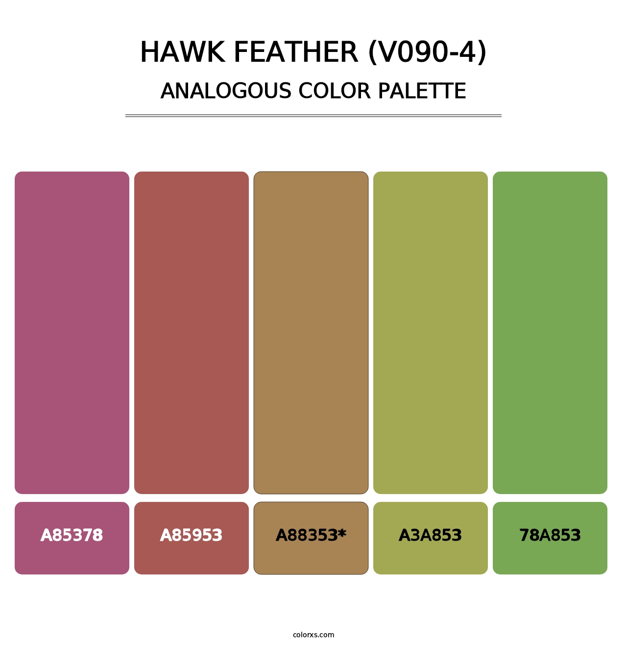 Hawk Feather (V090-4) - Analogous Color Palette