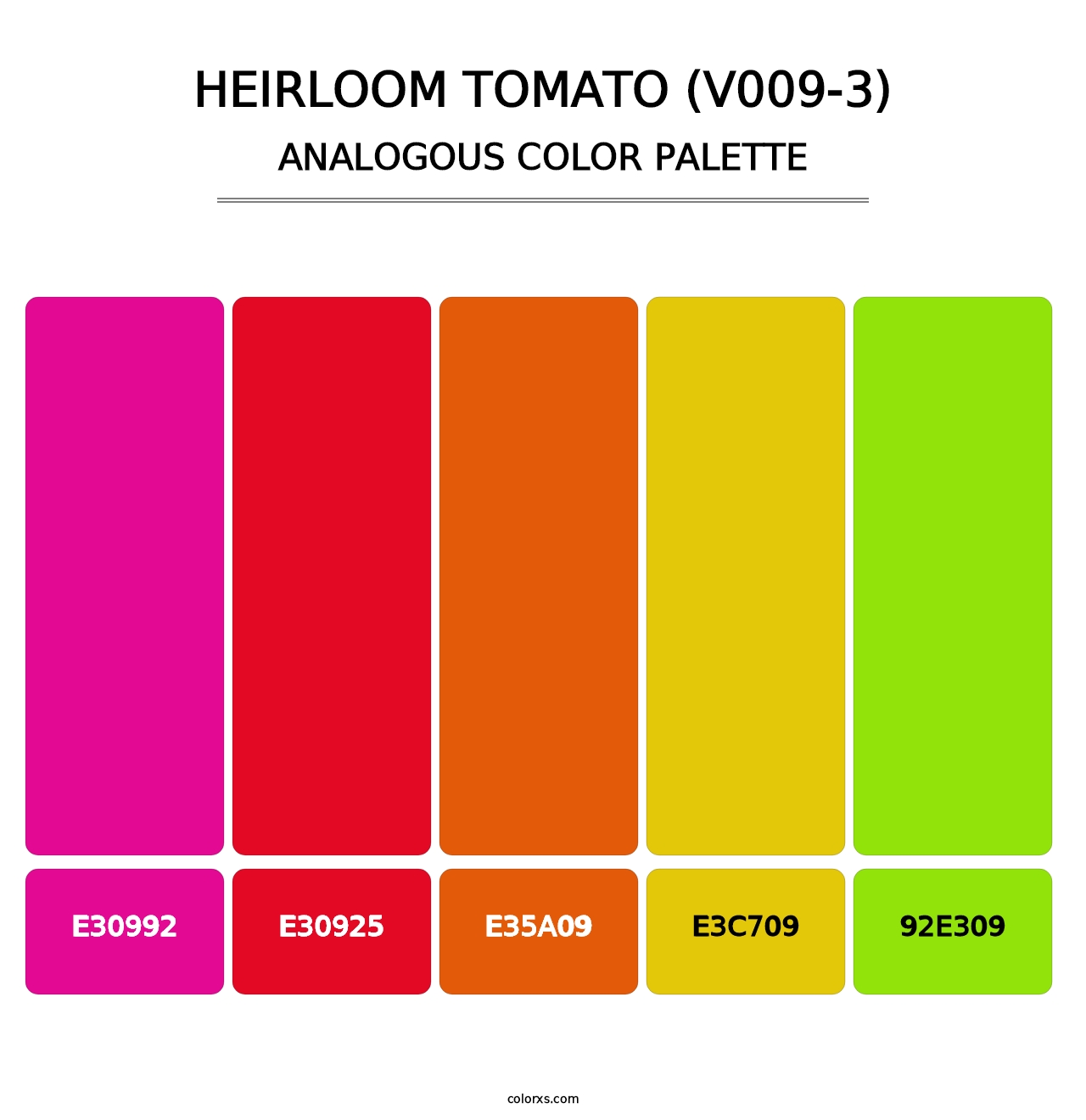 Heirloom Tomato (V009-3) - Analogous Color Palette