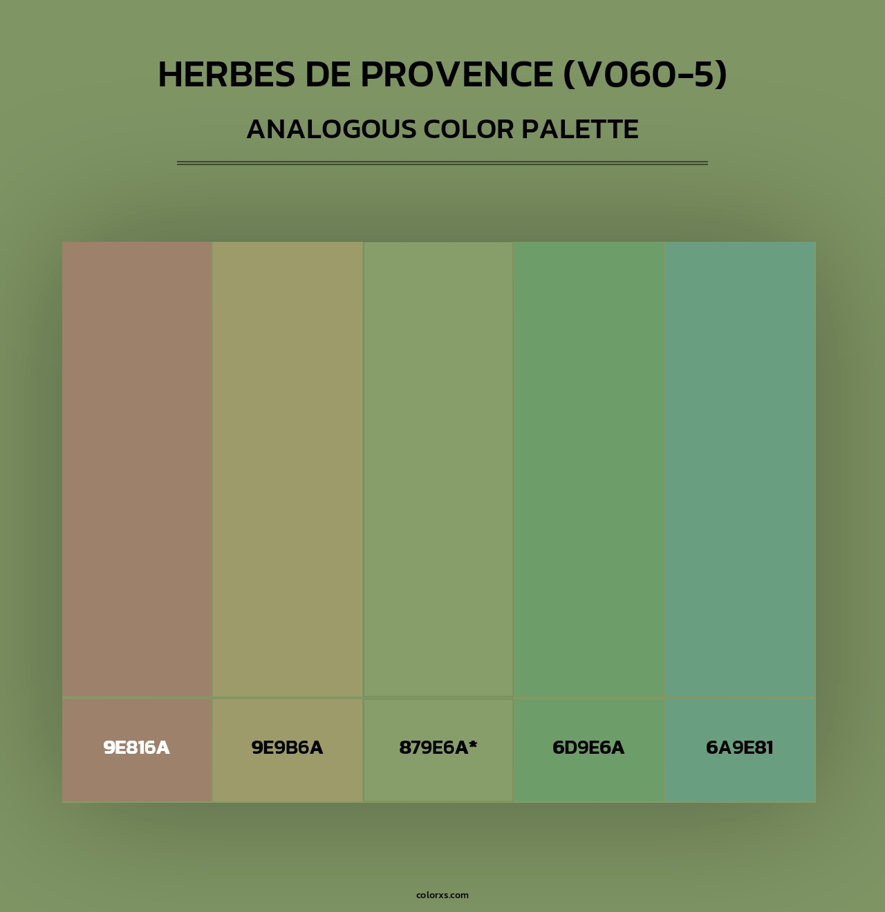 Herbes de Provence (V060-5) - Analogous Color Palette