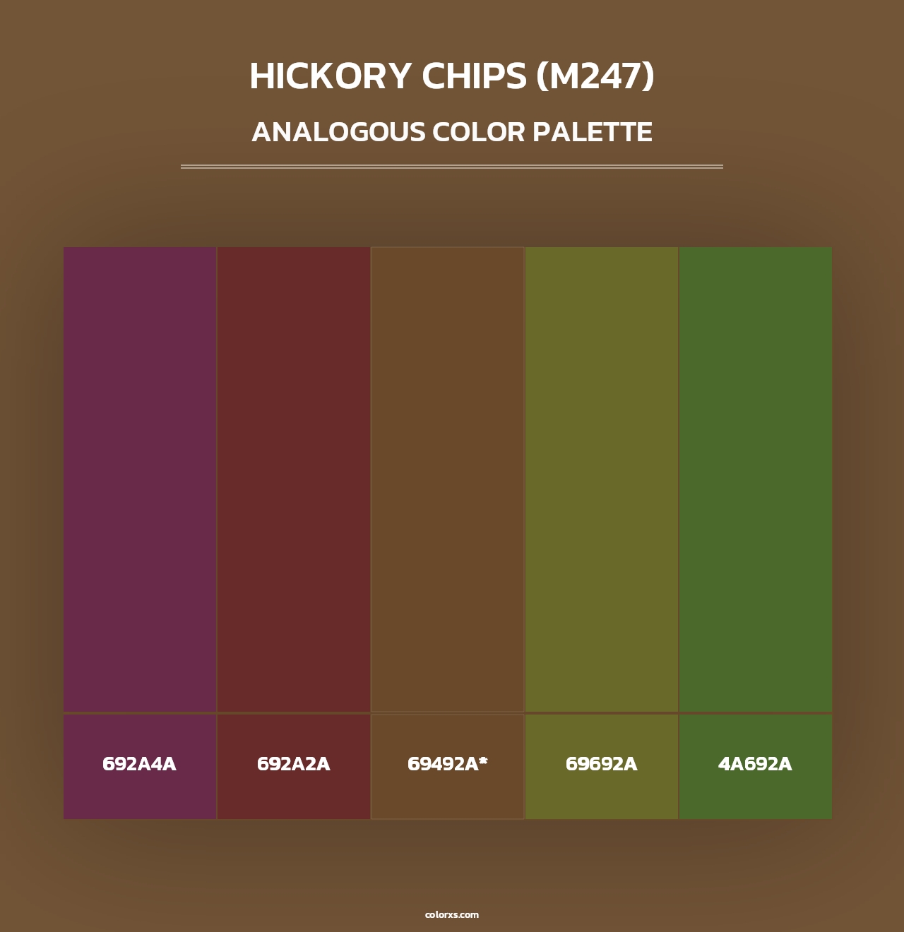 Hickory Chips (M247) - Analogous Color Palette
