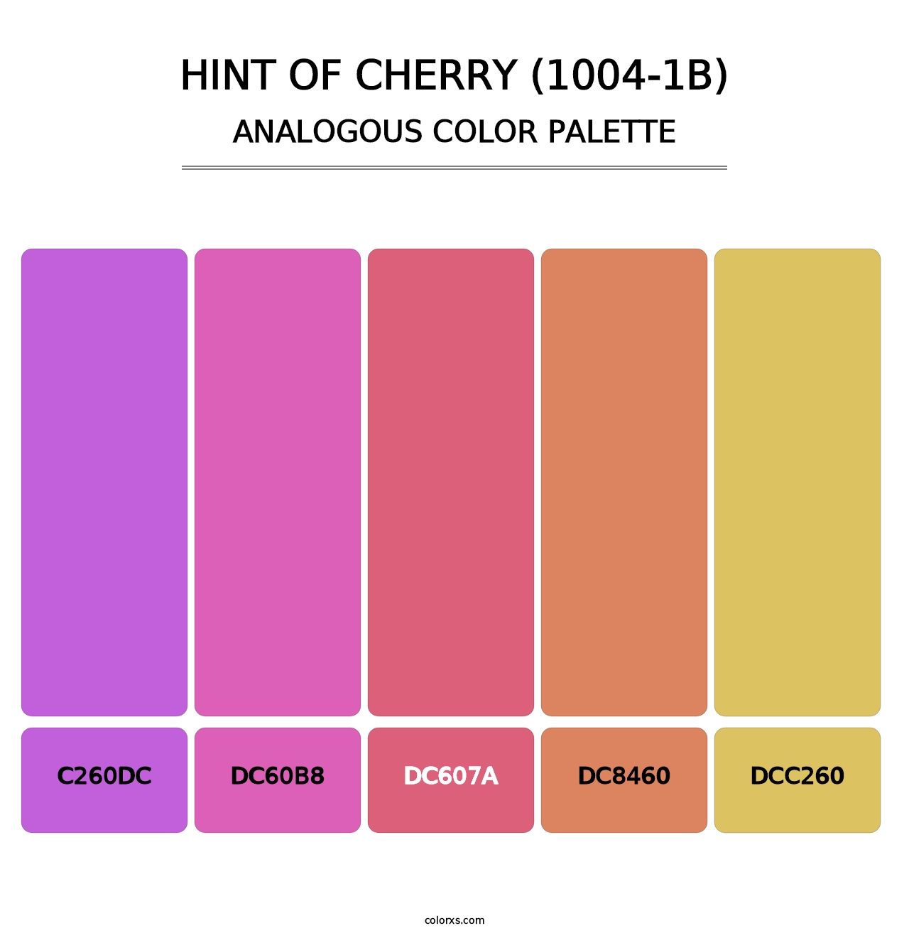 Hint of Cherry (1004-1B) - Analogous Color Palette