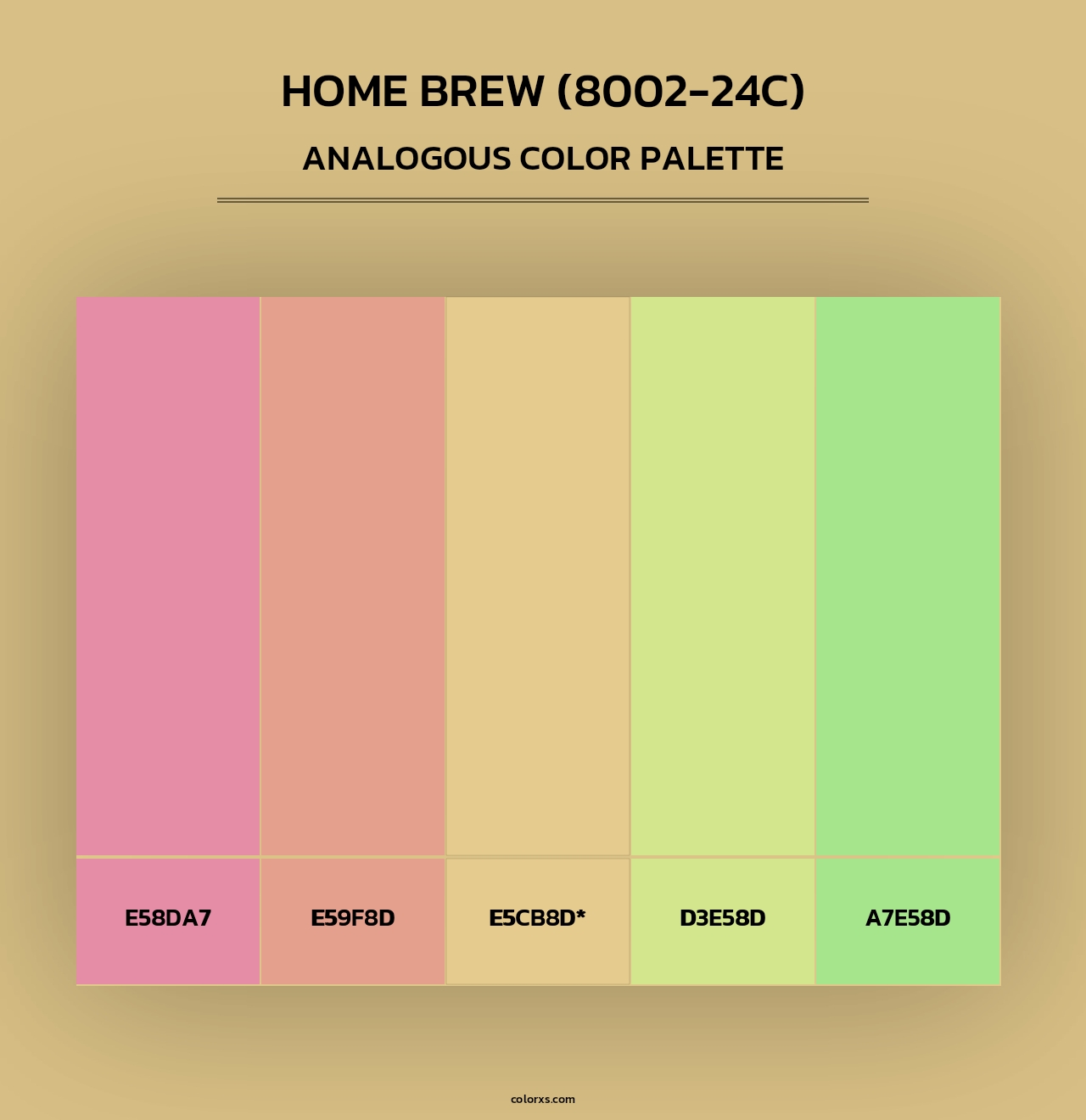 Home Brew (8002-24C) - Analogous Color Palette