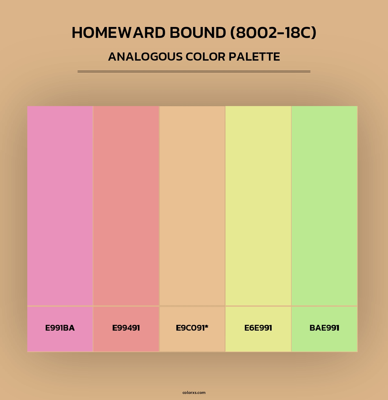 Homeward Bound (8002-18C) - Analogous Color Palette