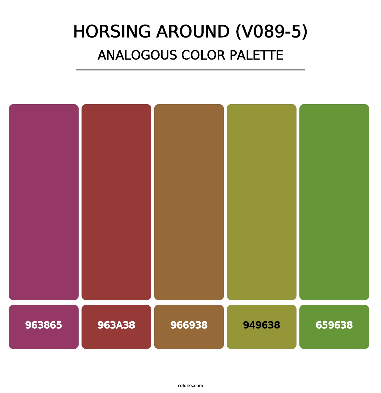 Horsing Around (V089-5) - Analogous Color Palette