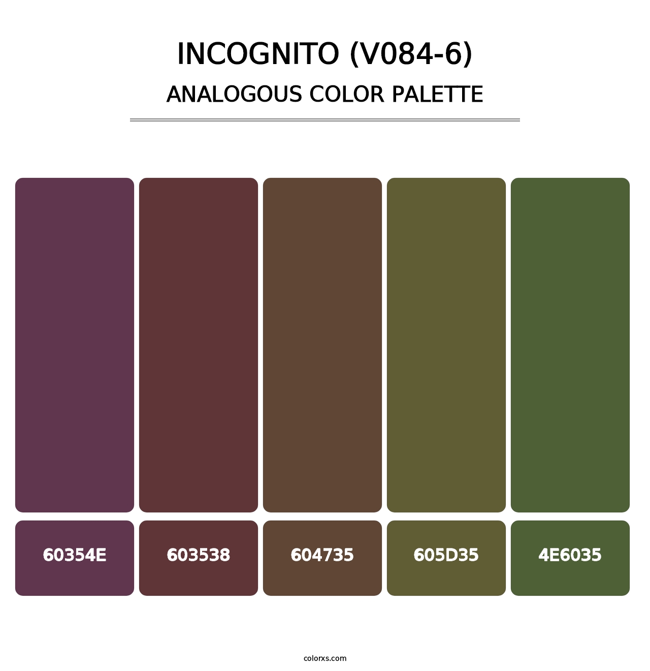 Incognito (V084-6) - Analogous Color Palette