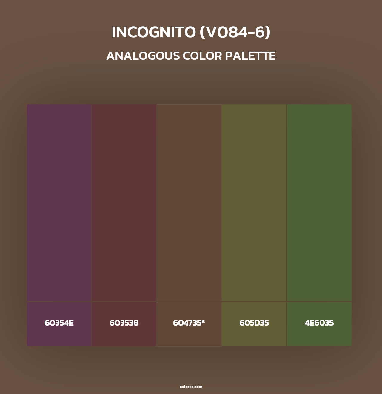 Incognito (V084-6) - Analogous Color Palette