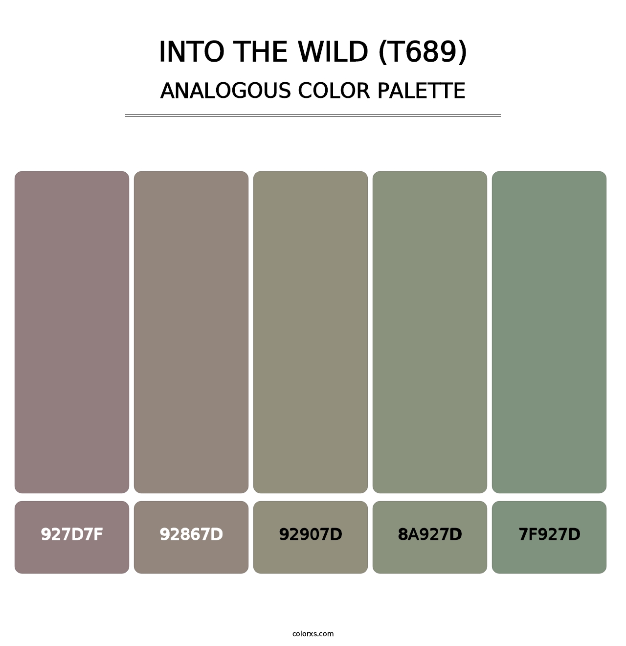 Into the Wild (T689) - Analogous Color Palette