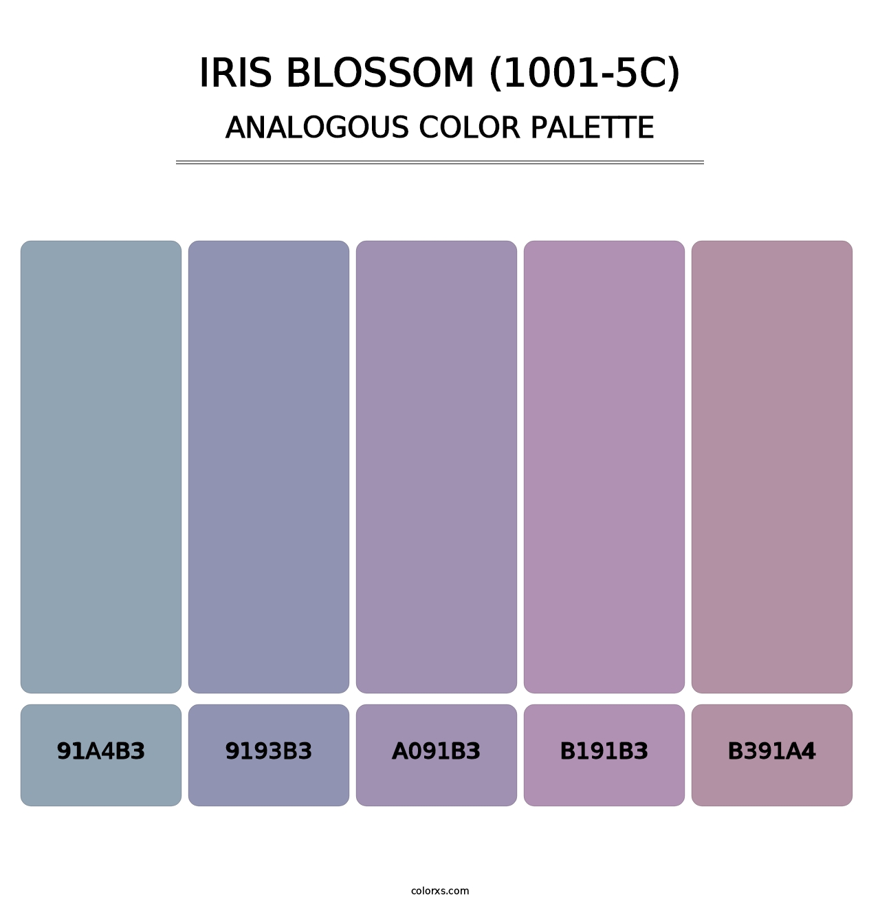 Iris Blossom (1001-5C) - Analogous Color Palette
