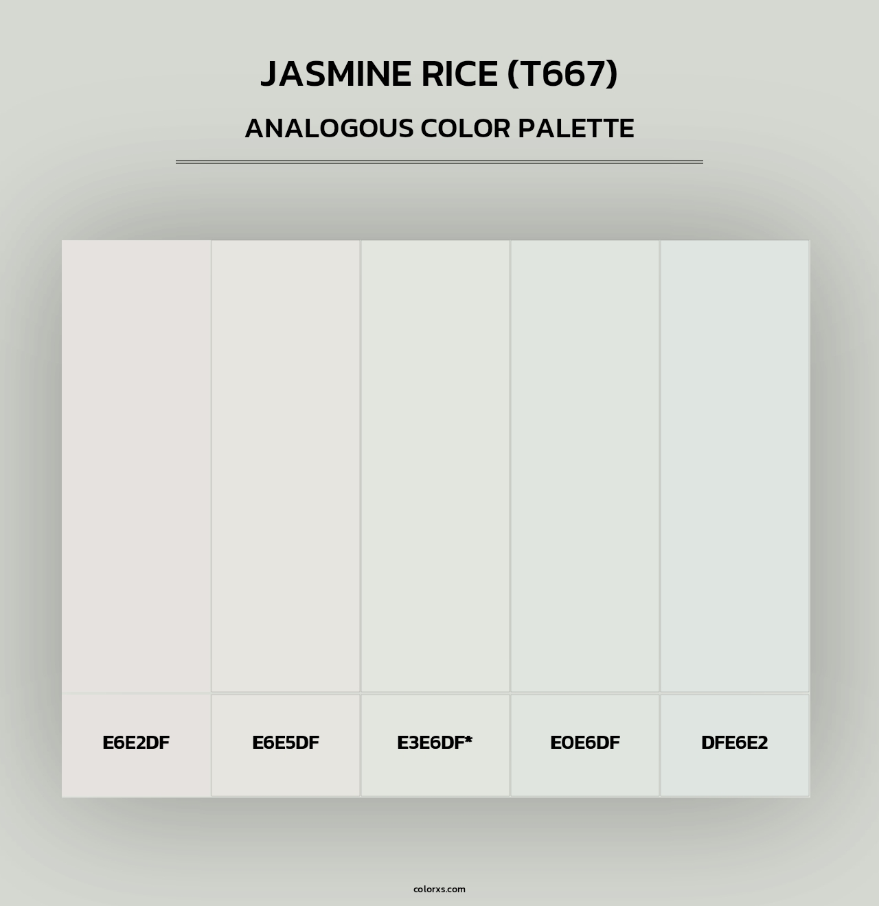 Jasmine Rice (T667) - Analogous Color Palette