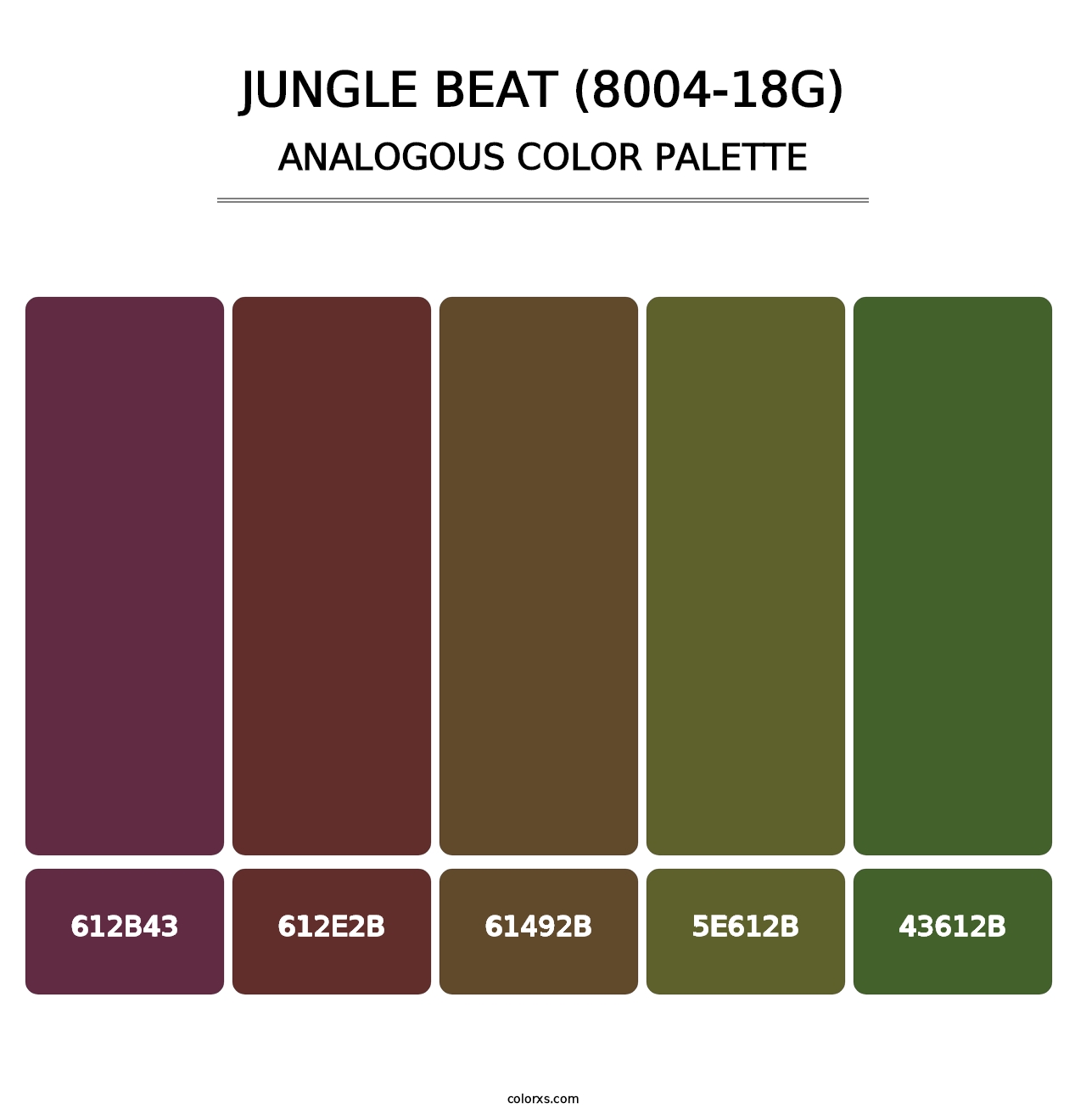 Jungle Beat (8004-18G) - Analogous Color Palette