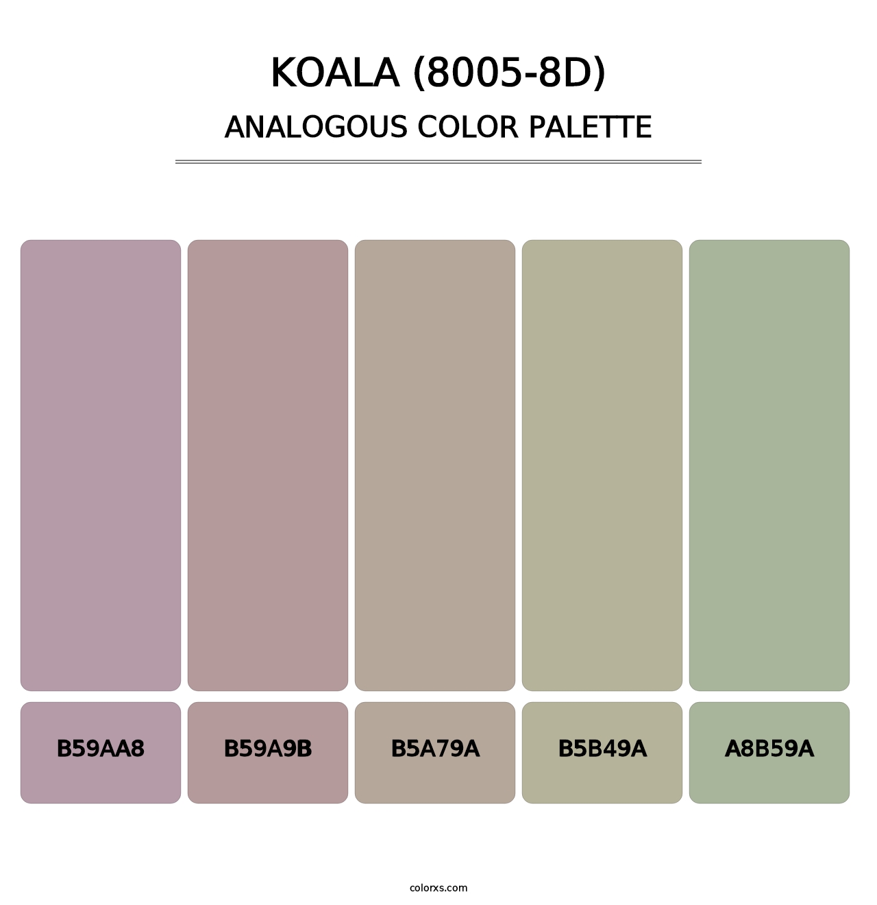 Koala (8005-8D) - Analogous Color Palette