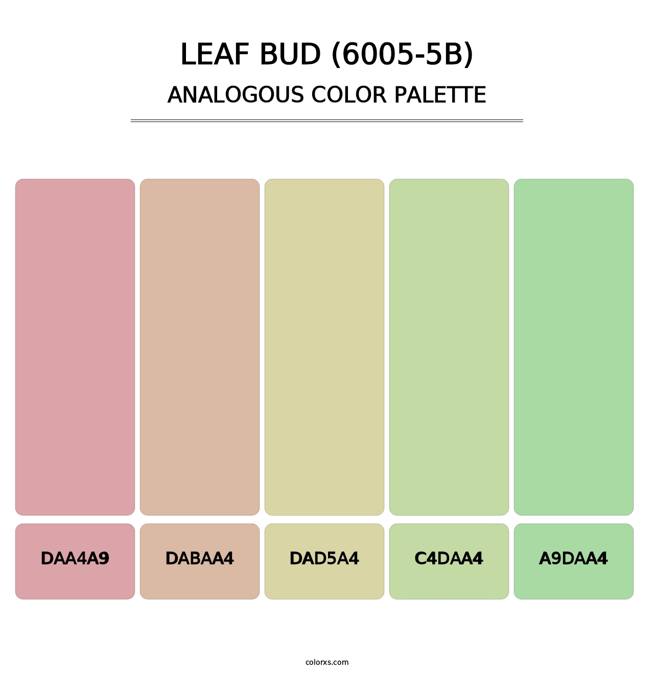 Leaf Bud (6005-5B) - Analogous Color Palette