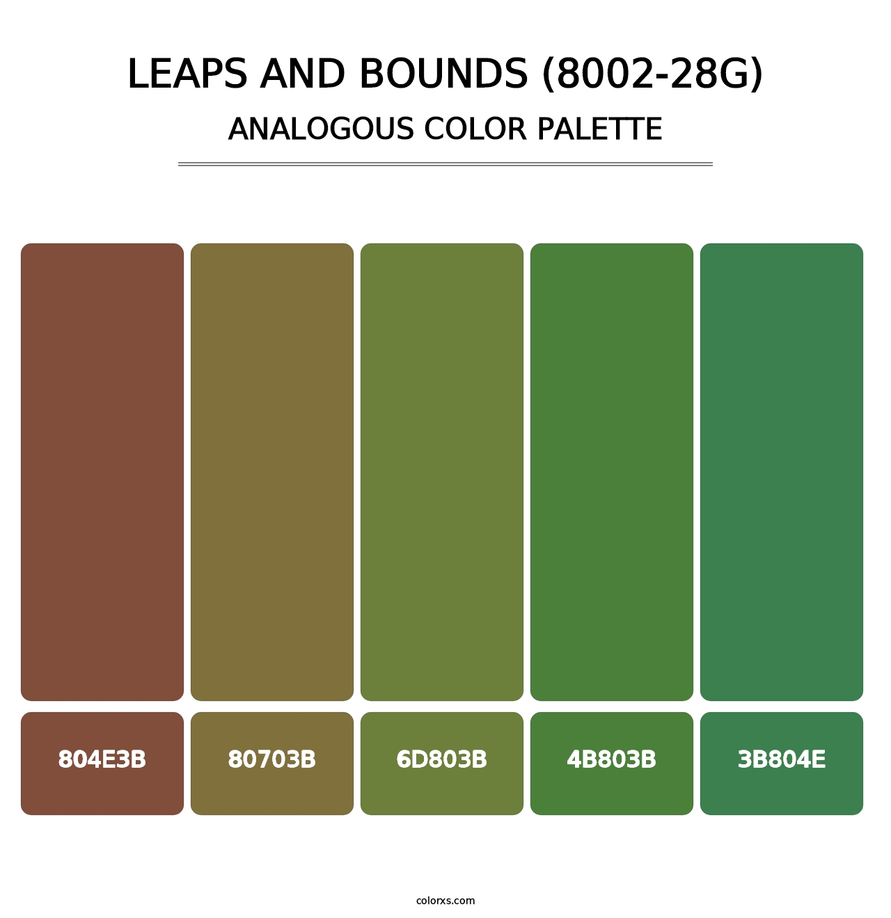 Leaps and Bounds (8002-28G) - Analogous Color Palette