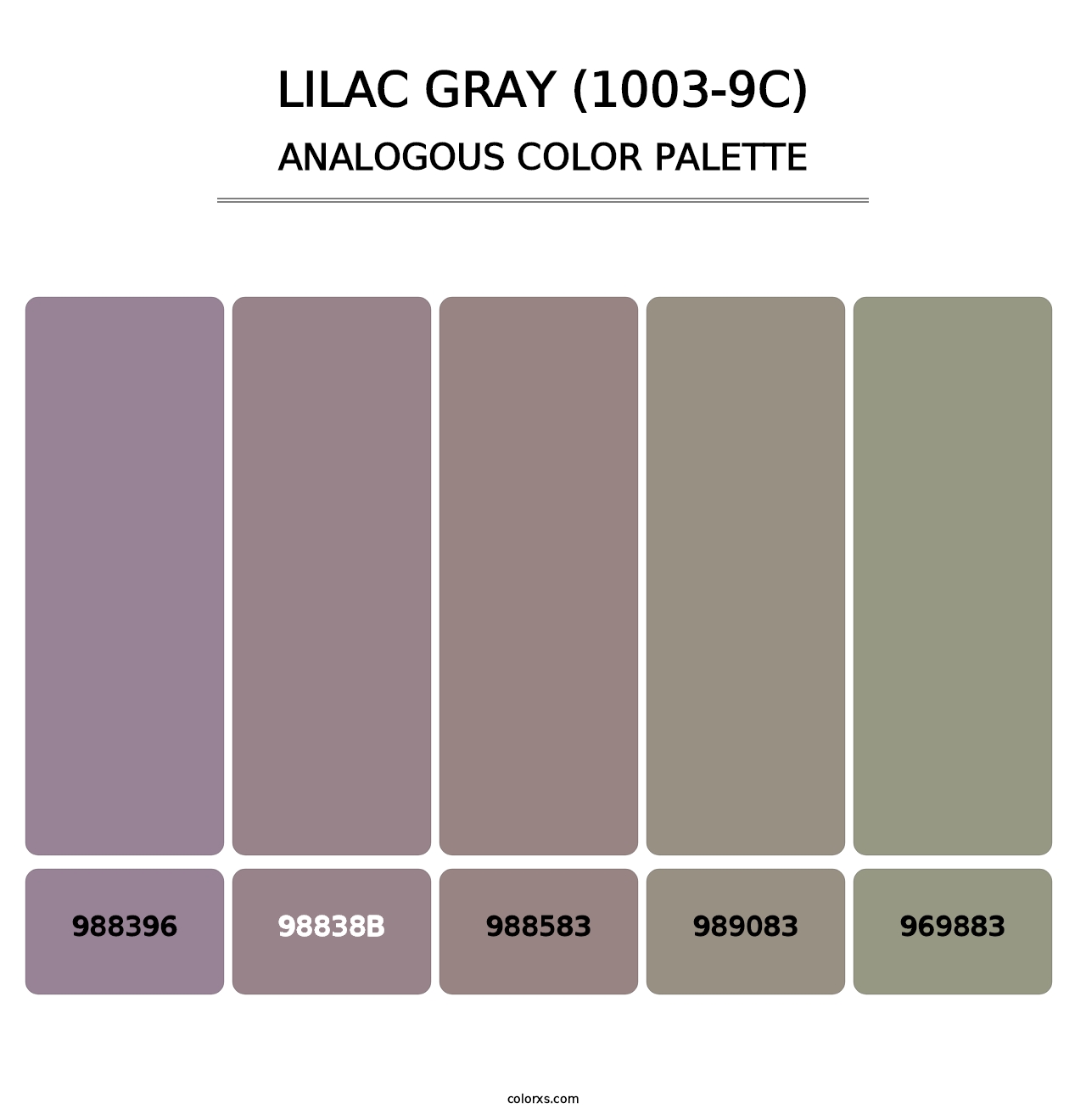 Lilac Gray (1003-9C) - Analogous Color Palette