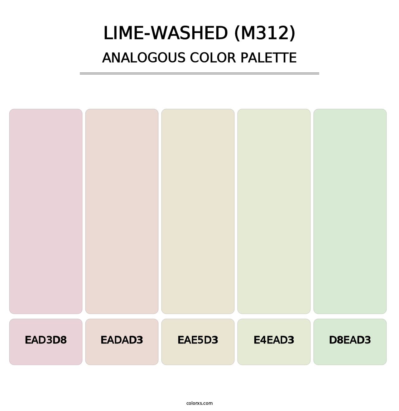 Lime-Washed (M312) - Analogous Color Palette