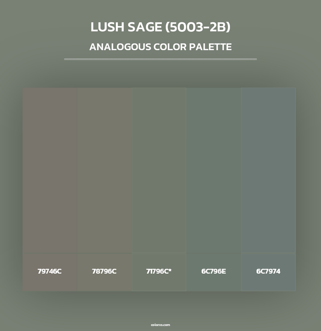 Lush Sage (5003-2B) - Analogous Color Palette