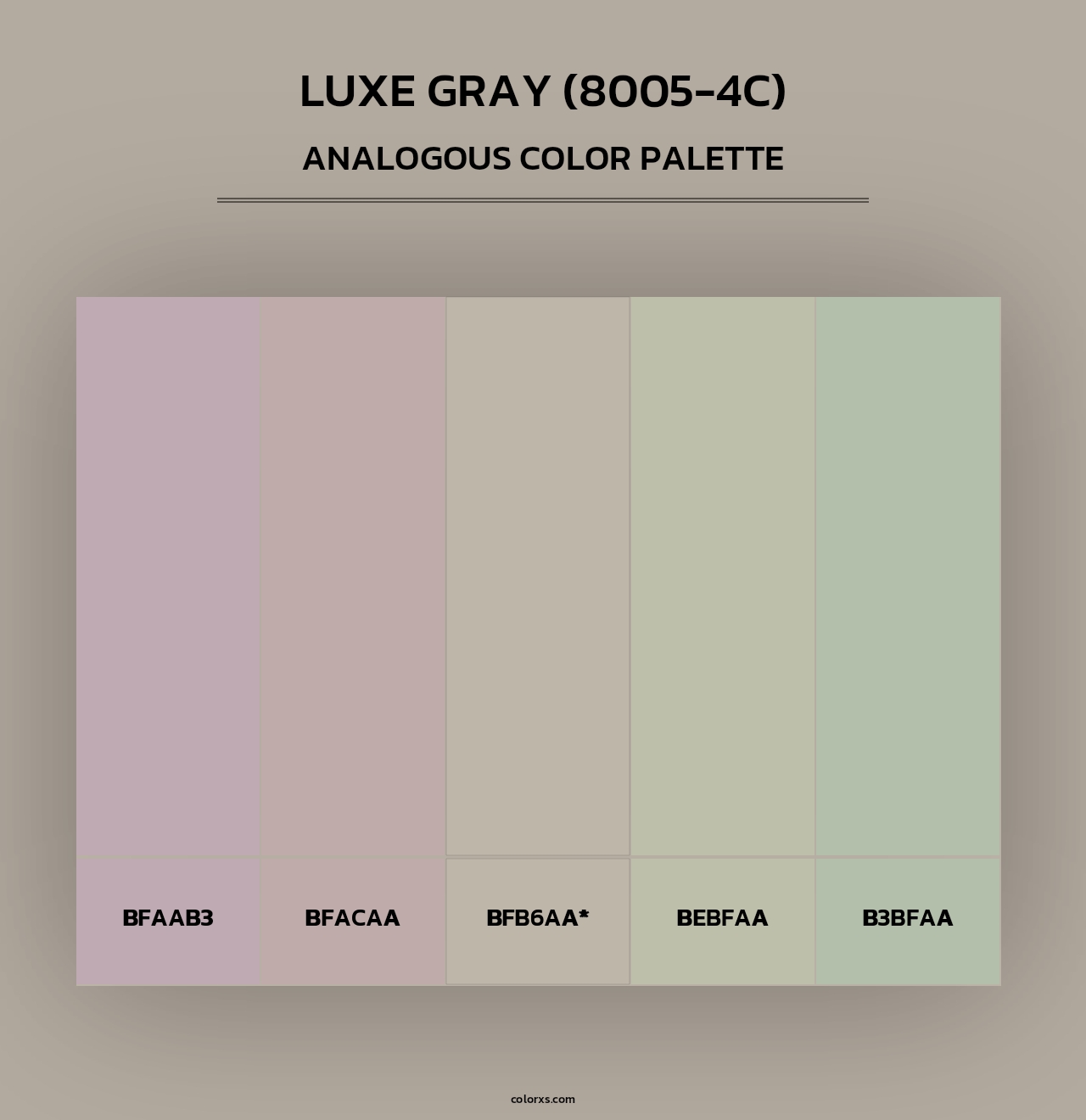 Luxe Gray (8005-4C) - Analogous Color Palette