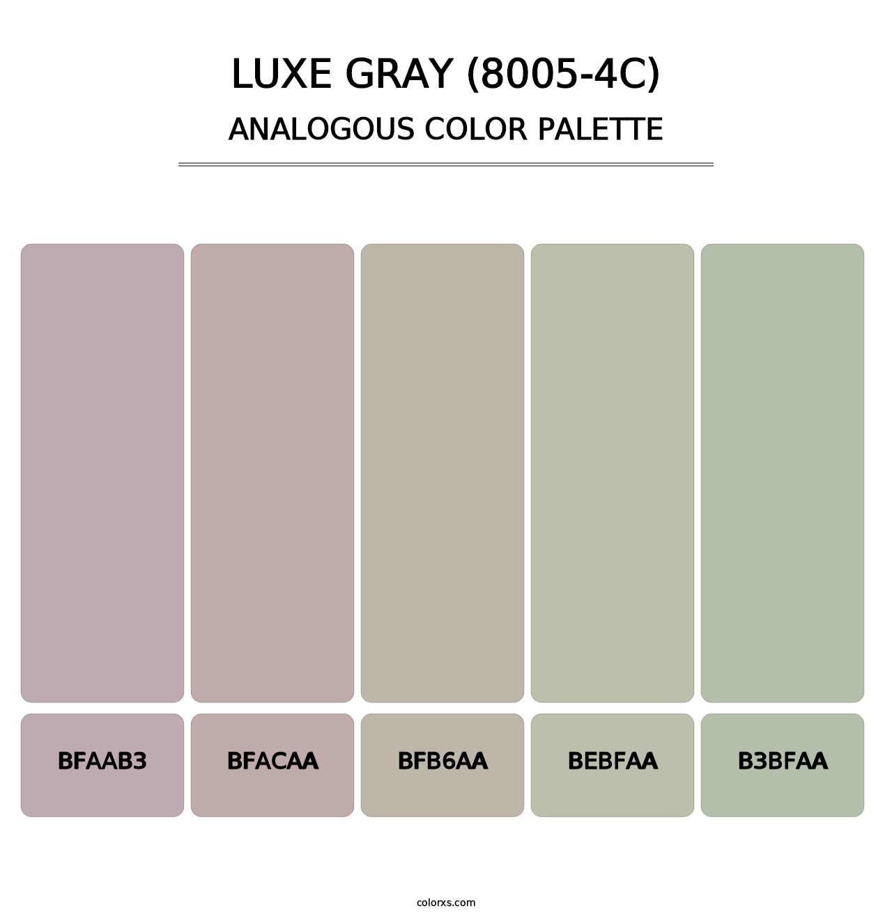Luxe Gray (8005-4C) - Analogous Color Palette