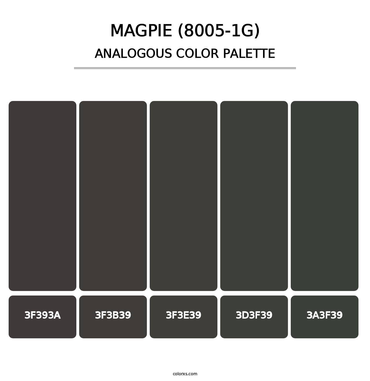 Magpie (8005-1G) - Analogous Color Palette