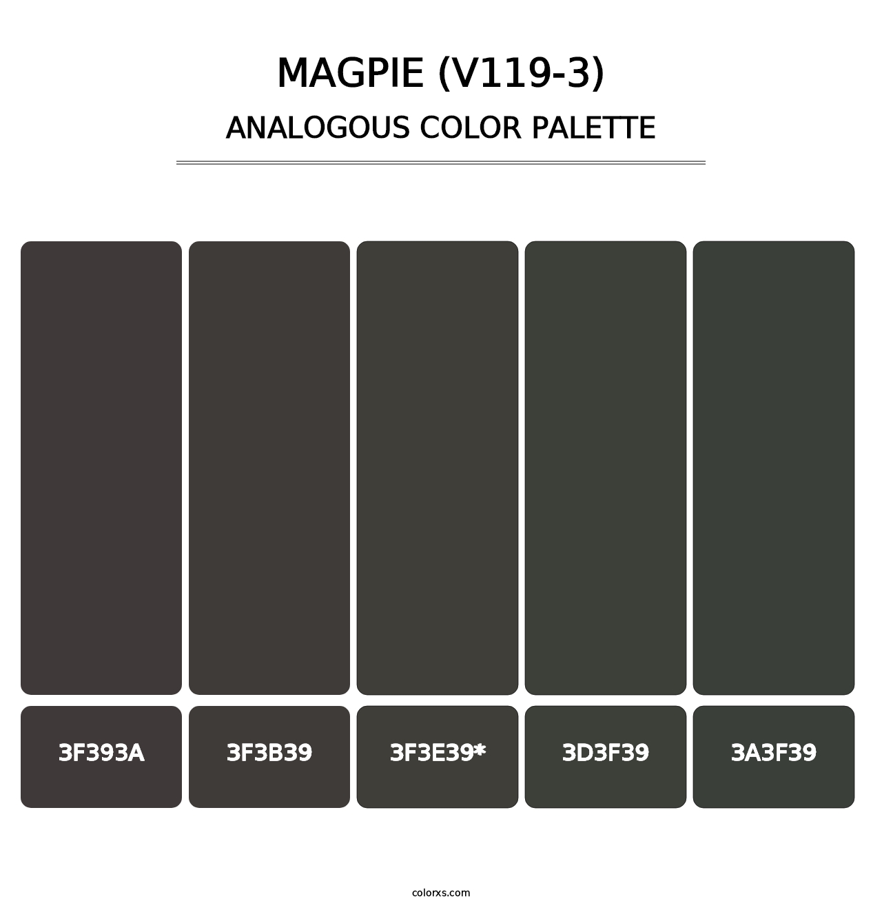 Magpie (V119-3) - Analogous Color Palette