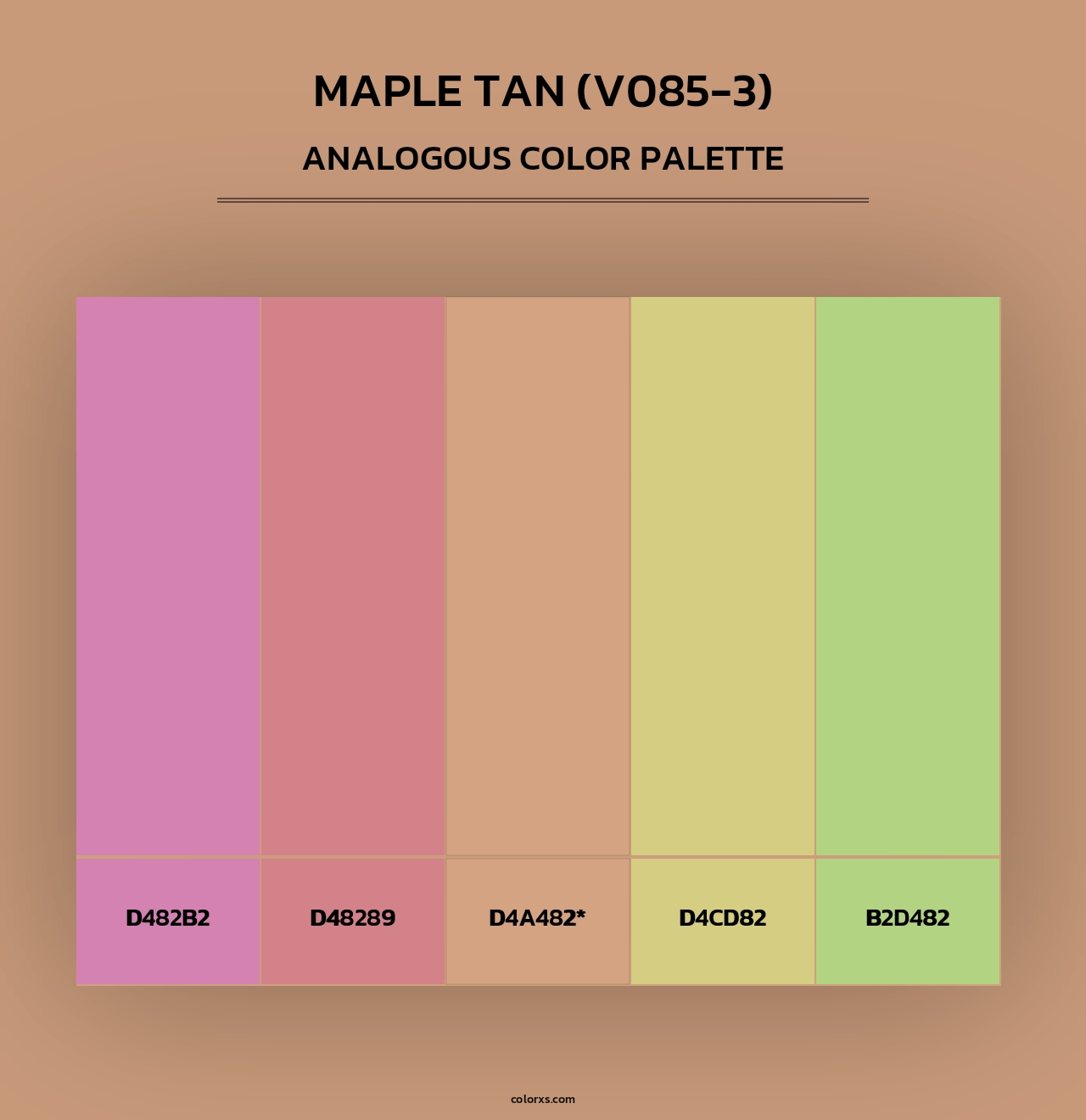 Maple Tan (V085-3) - Analogous Color Palette