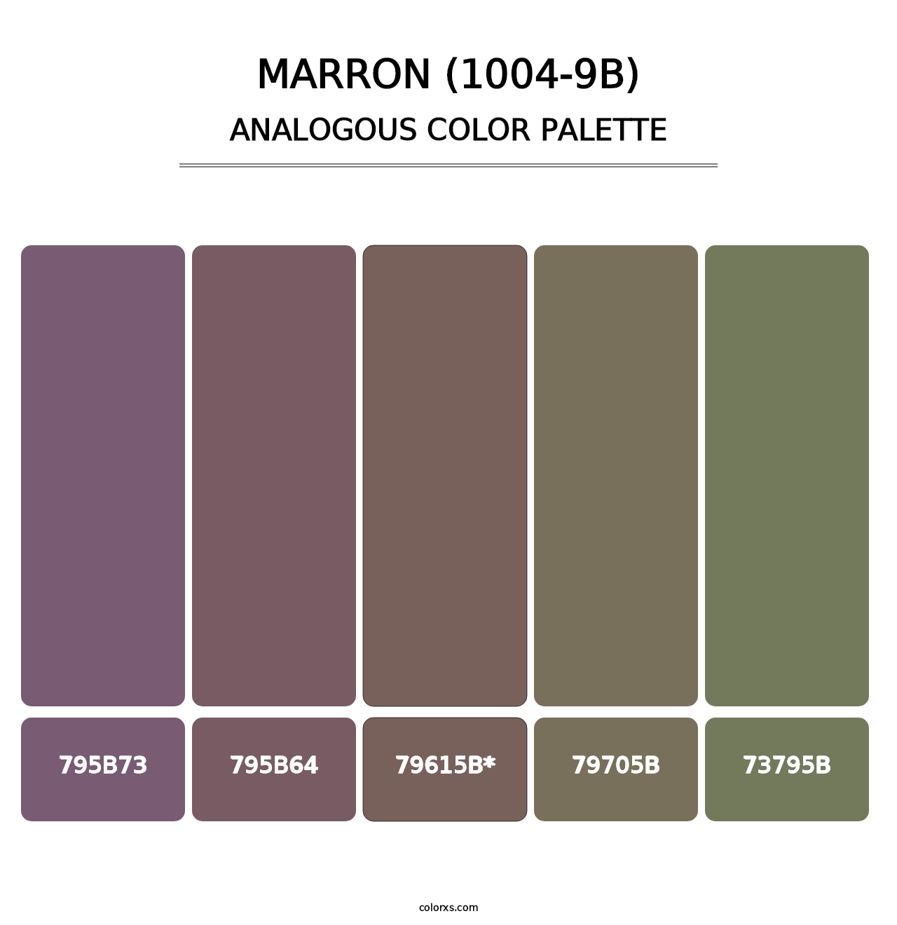 Marron (1004-9B) - Analogous Color Palette