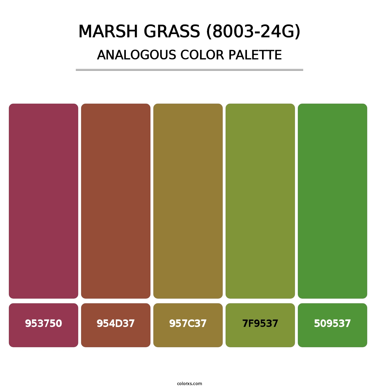 Marsh Grass (8003-24G) - Analogous Color Palette