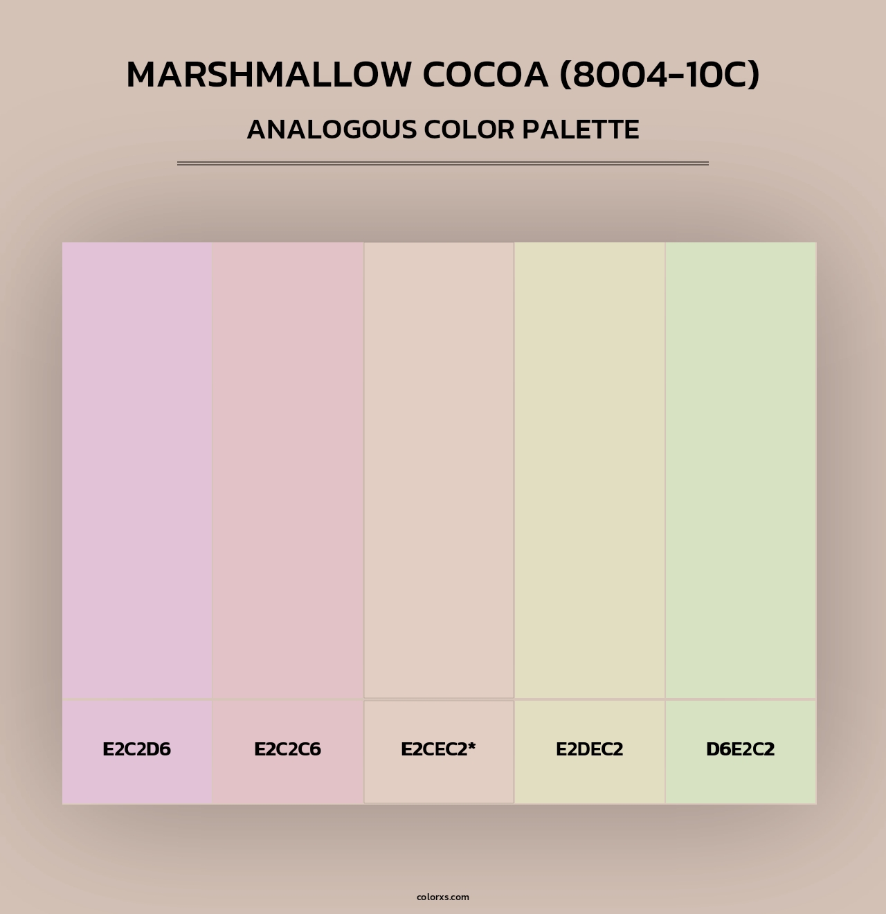 Marshmallow Cocoa (8004-10C) - Analogous Color Palette