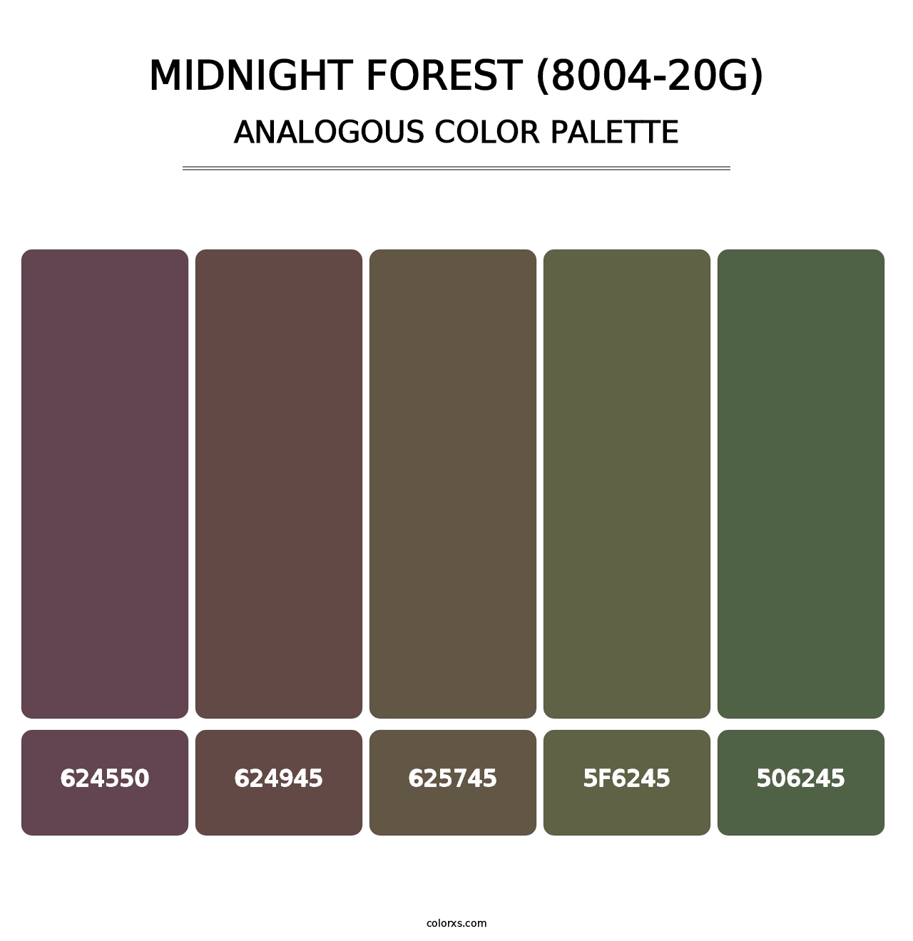 Midnight Forest (8004-20G) - Analogous Color Palette