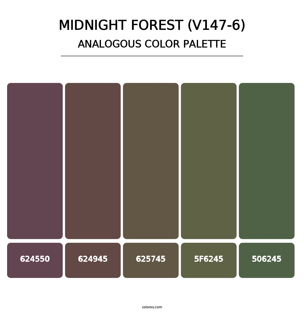 Midnight Forest (V147-6) - Analogous Color Palette