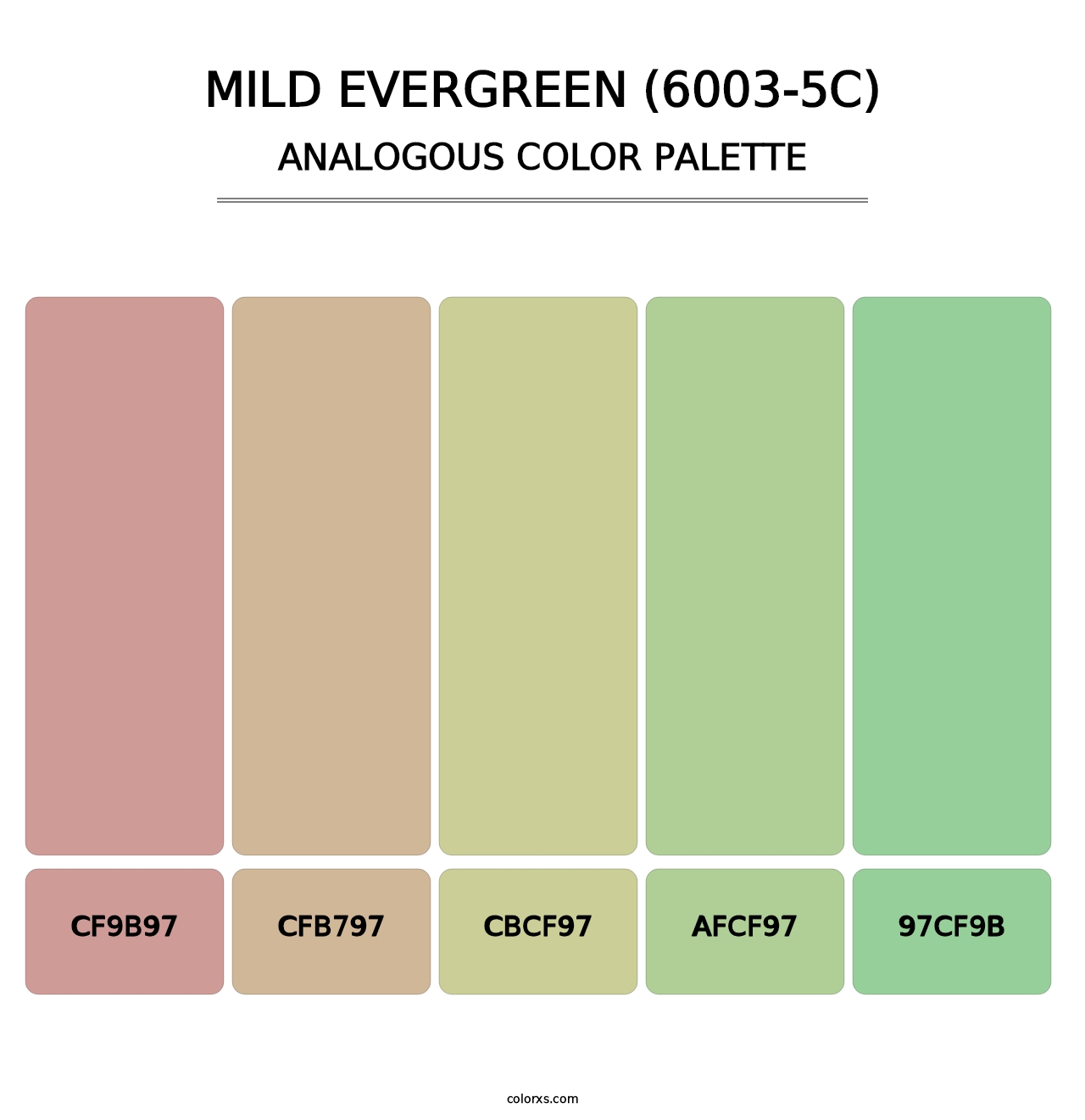 Mild Evergreen (6003-5C) - Analogous Color Palette