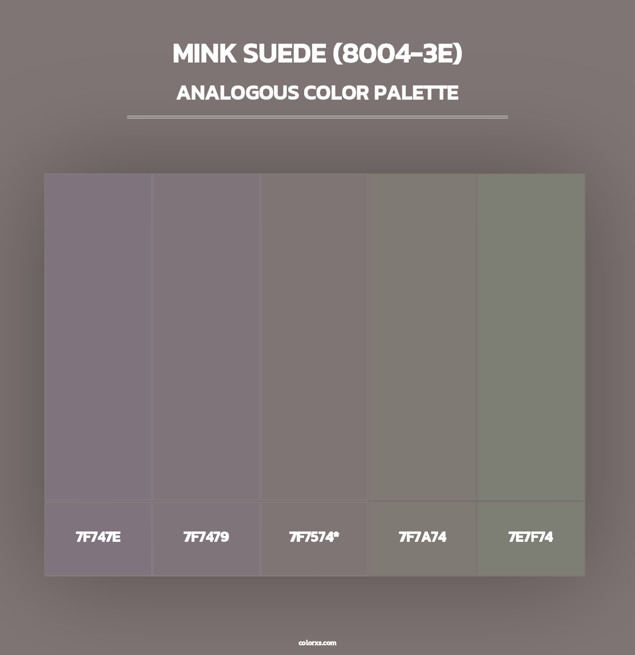Mink Suede (8004-3E) - Analogous Color Palette