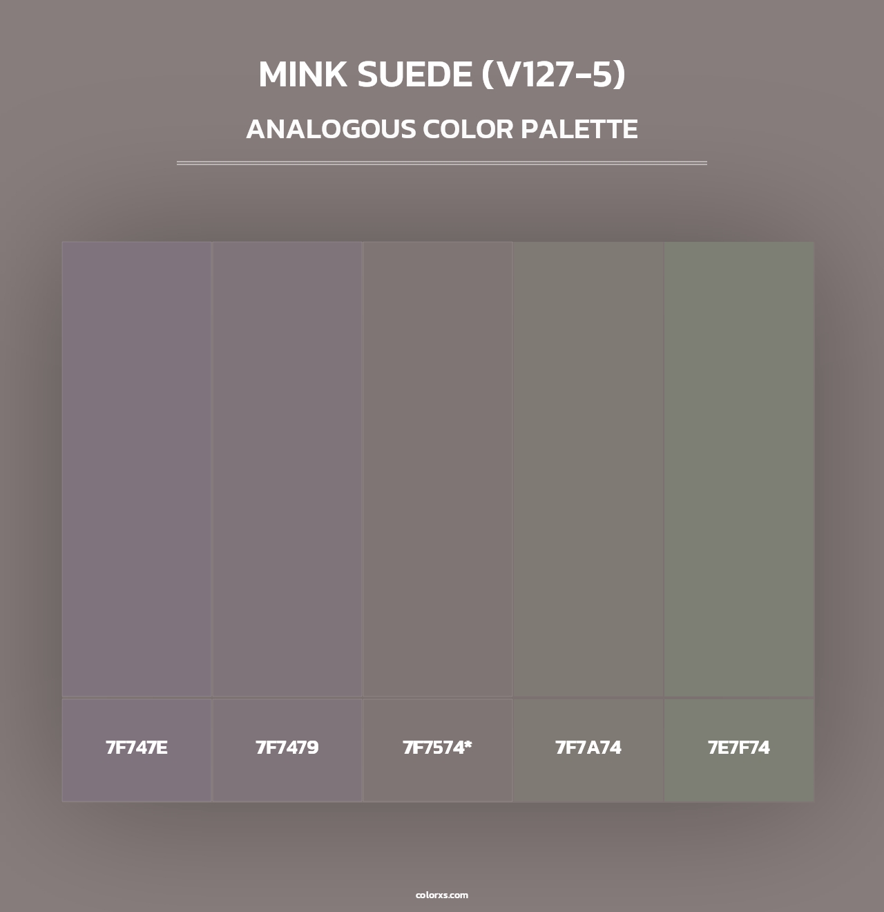 Mink Suede (V127-5) - Analogous Color Palette
