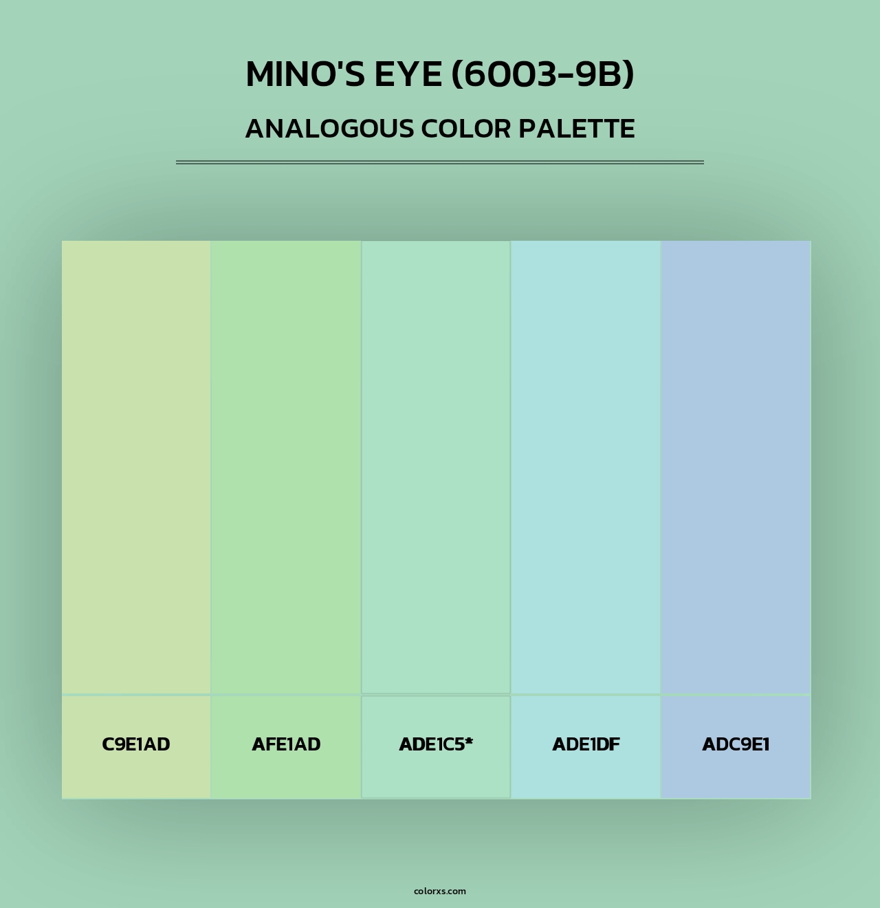 Mino's Eye (6003-9B) - Analogous Color Palette
