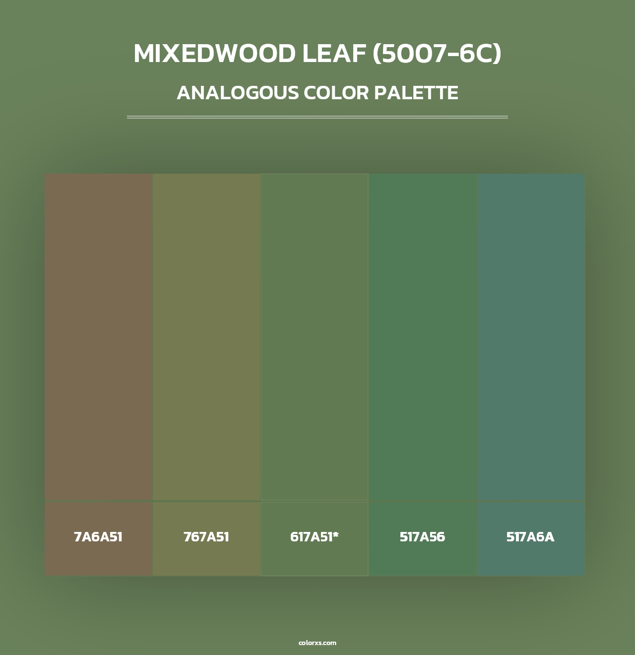Mixedwood Leaf (5007-6C) - Analogous Color Palette