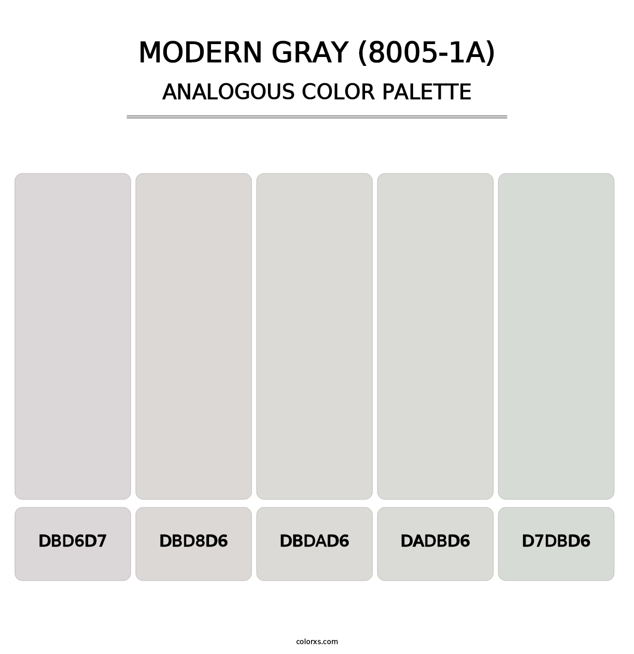 Modern Gray (8005-1A) - Analogous Color Palette