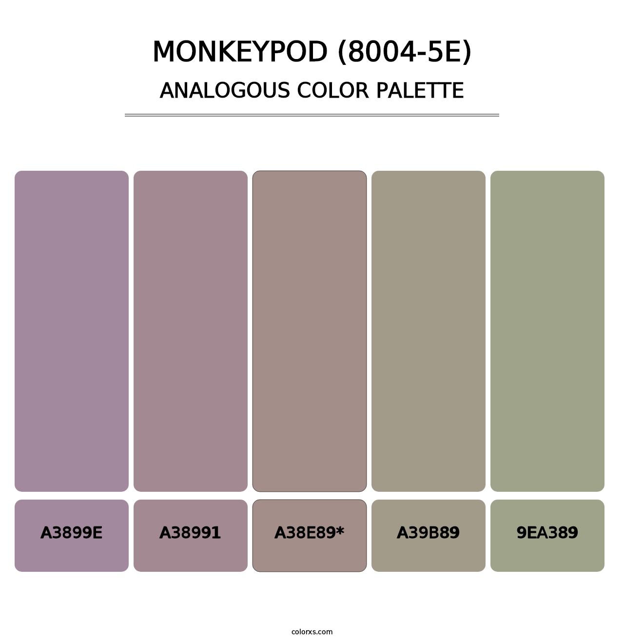 Monkeypod (8004-5E) - Analogous Color Palette