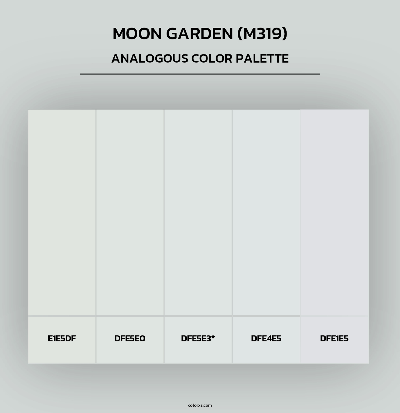 Moon Garden (M319) - Analogous Color Palette