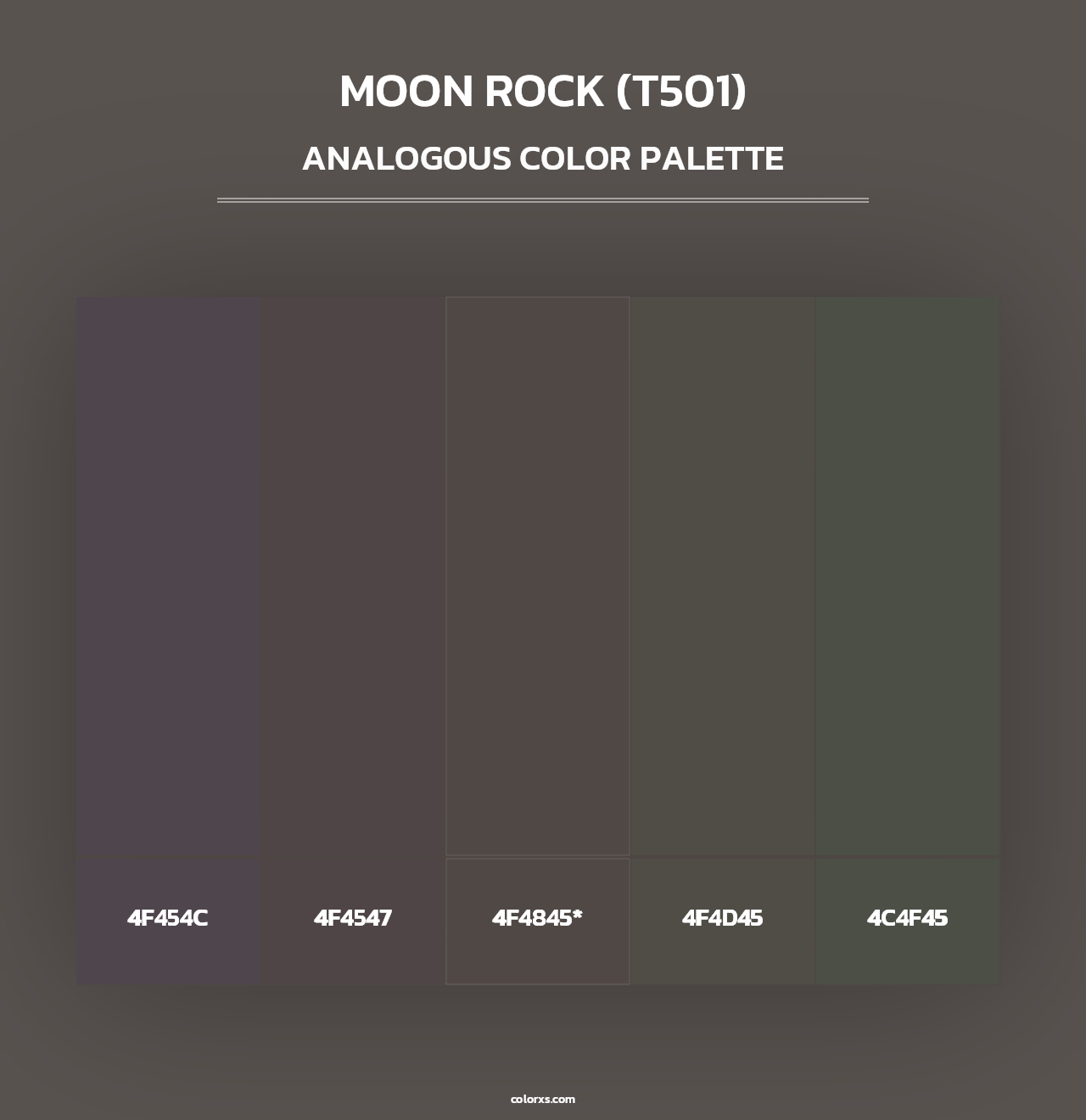 Moon Rock (T501) - Analogous Color Palette