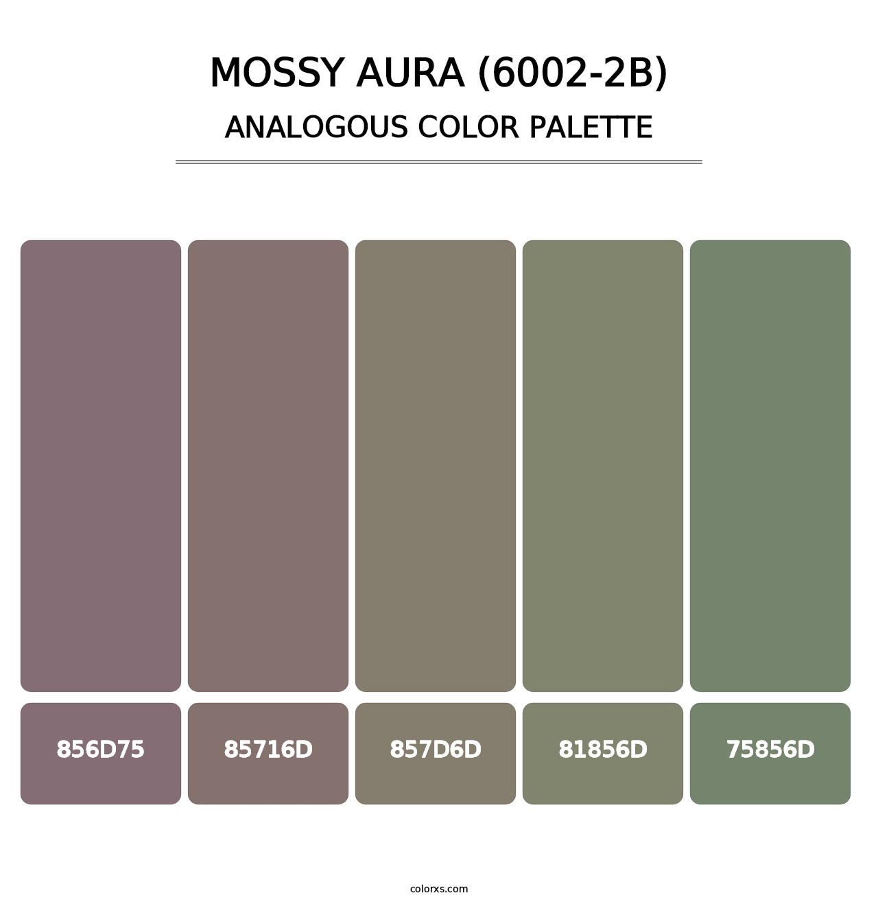 Mossy Aura (6002-2B) - Analogous Color Palette