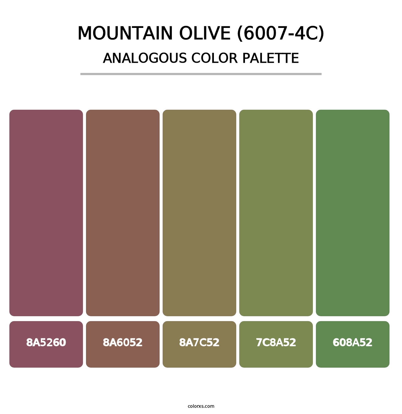 Mountain Olive (6007-4C) - Analogous Color Palette