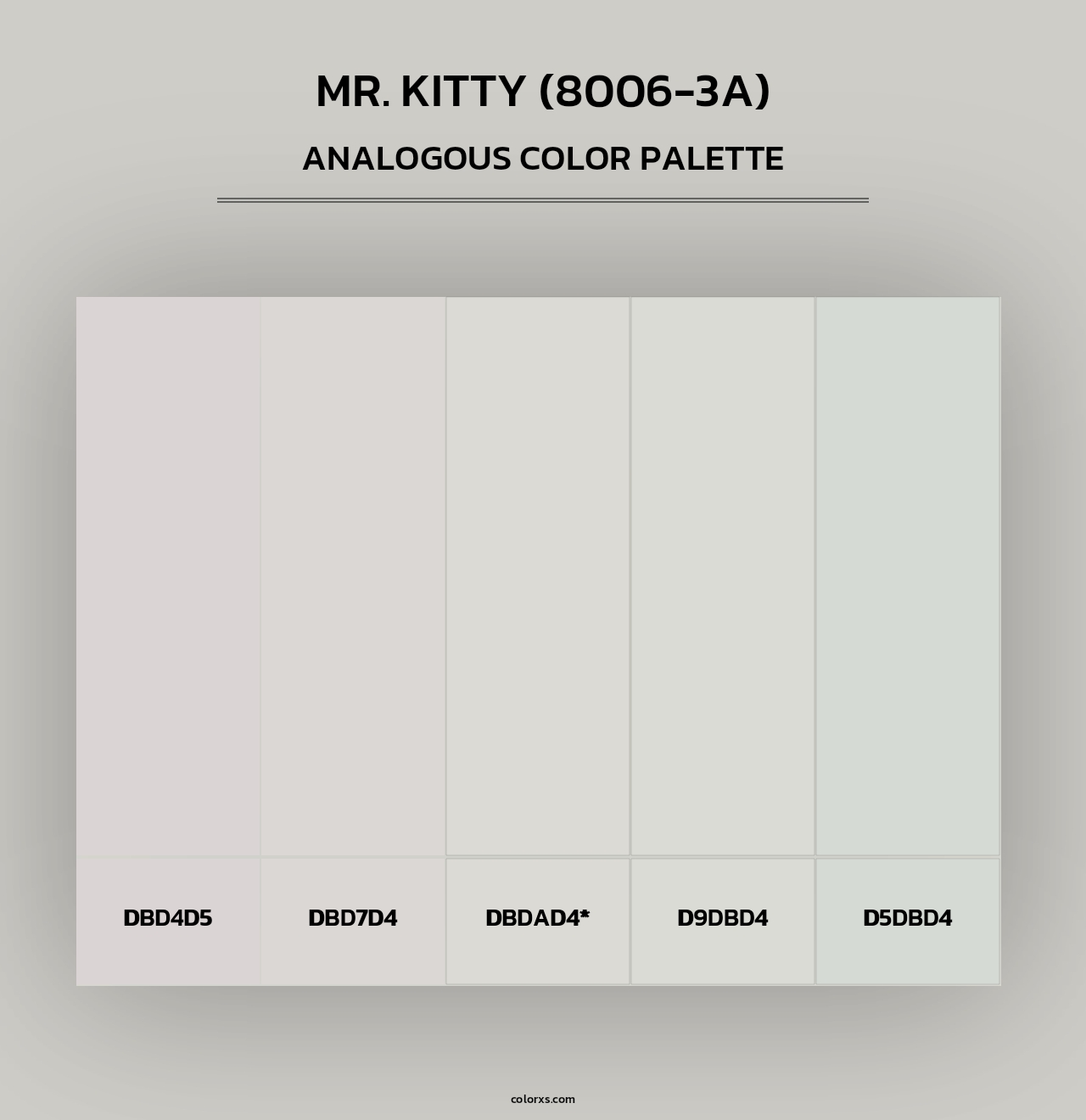 Mr. Kitty (8006-3A) - Analogous Color Palette