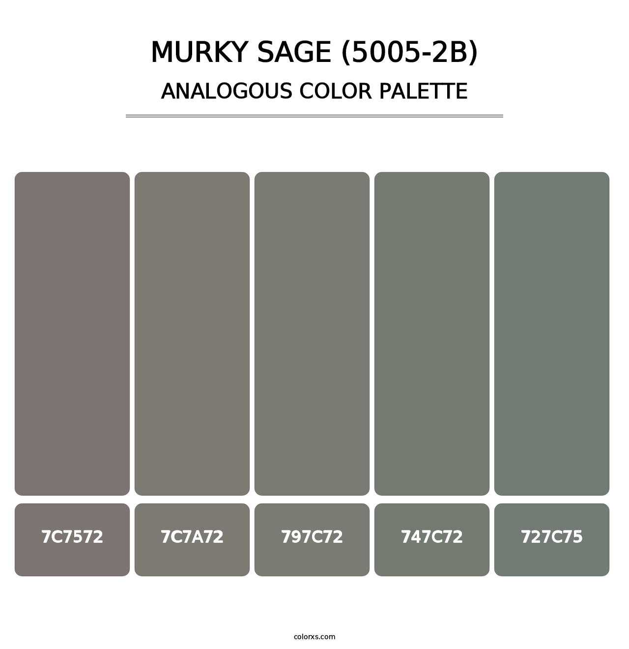 Murky Sage (5005-2B) - Analogous Color Palette
