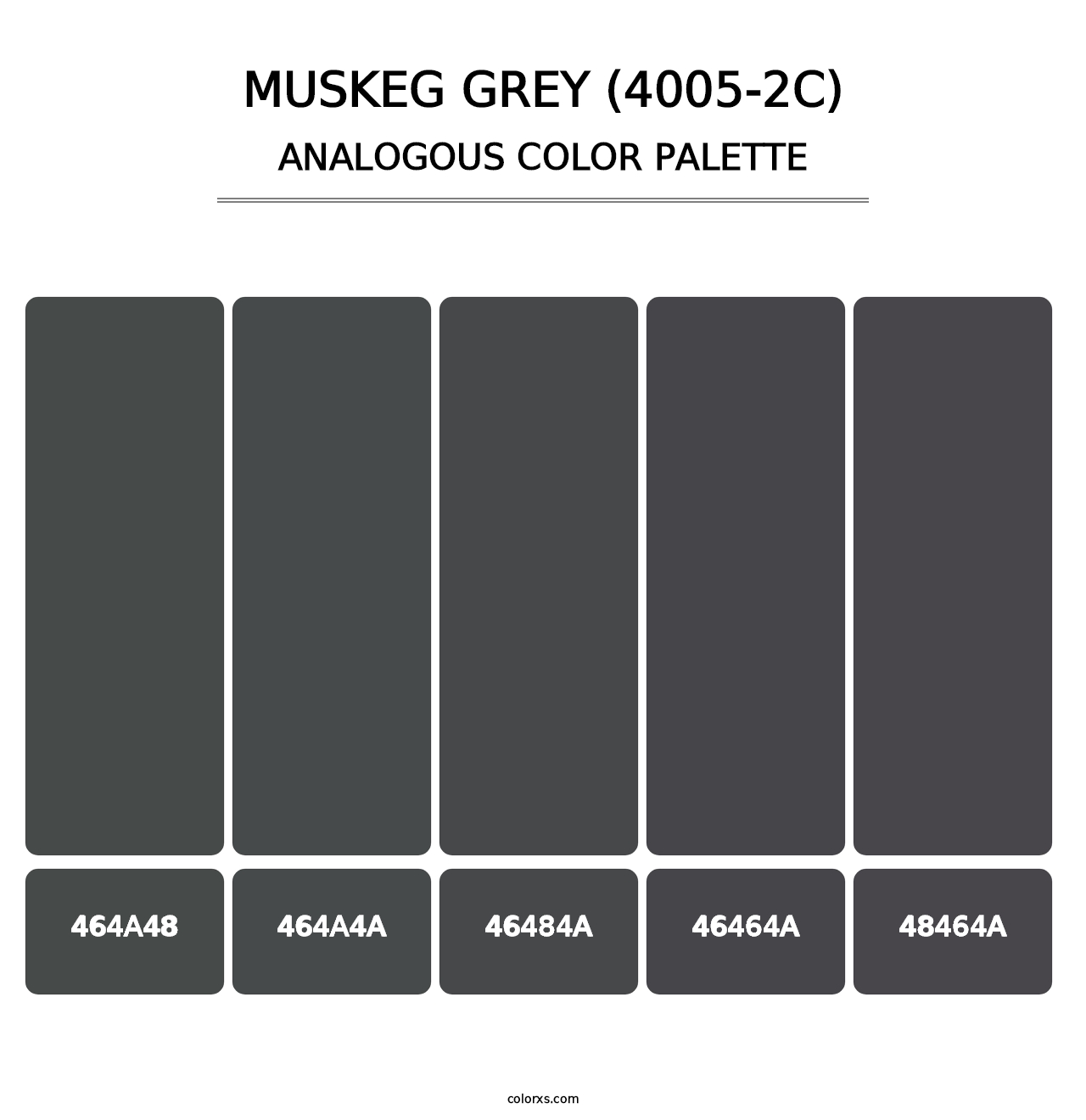 Muskeg Grey (4005-2C) - Analogous Color Palette