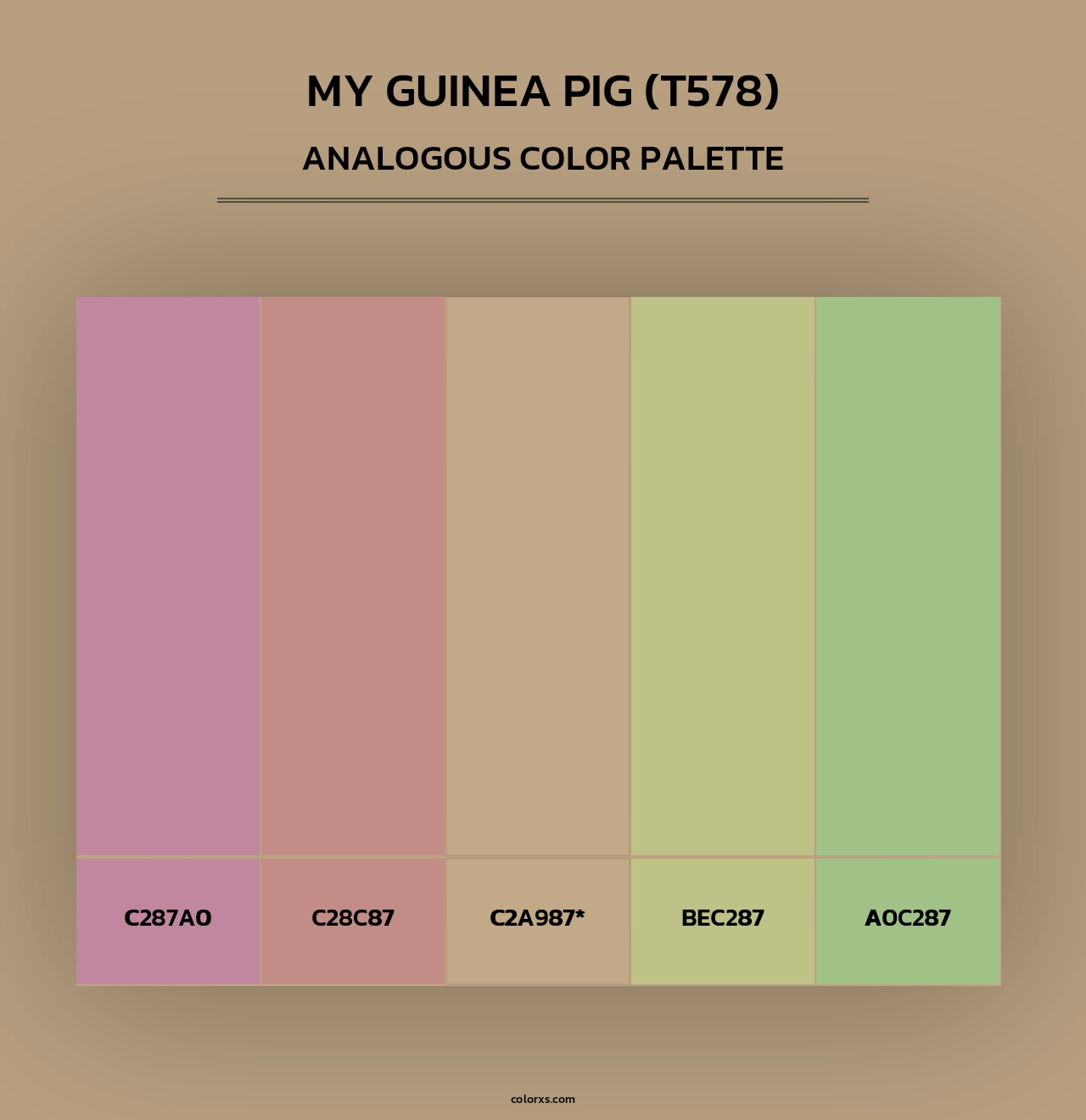 My Guinea Pig (T578) - Analogous Color Palette