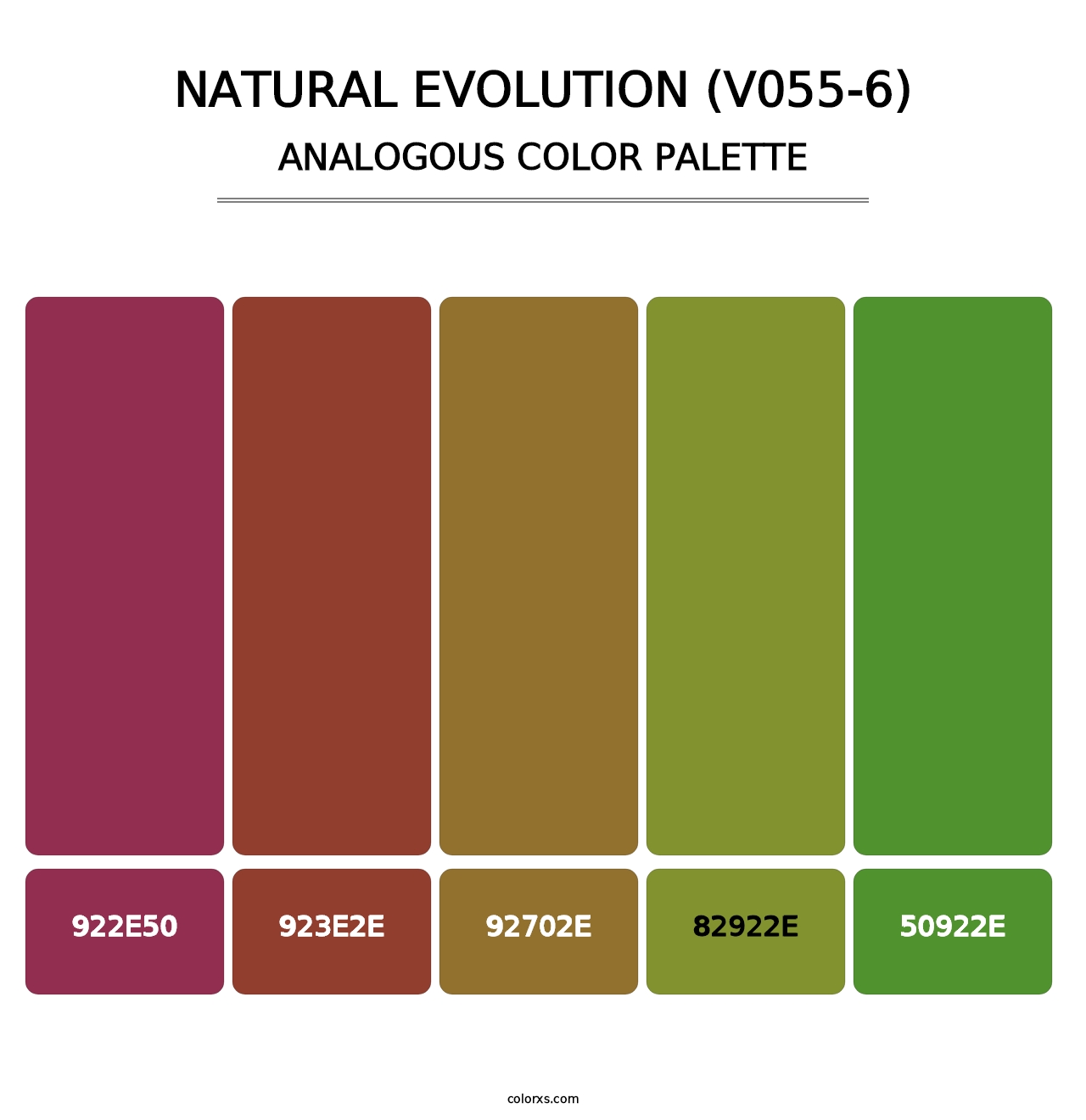 Natural Evolution (V055-6) - Analogous Color Palette