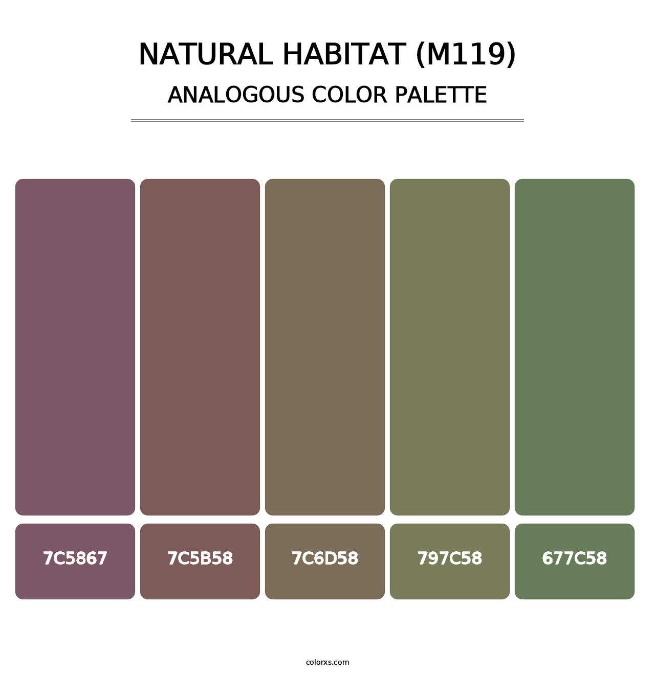 Natural Habitat (M119) - Analogous Color Palette