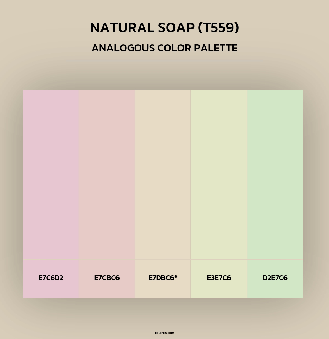 Natural Soap (T559) - Analogous Color Palette